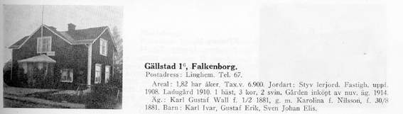 Falkenborg