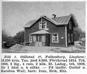 Falkenborg
