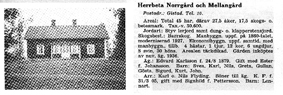 Herrbeta