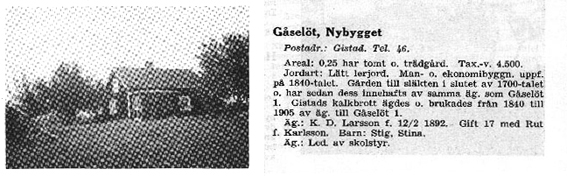 Nybygget