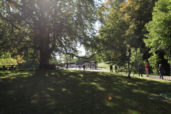 bussTakernOmberg09