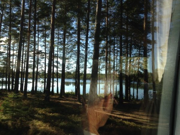 13_buss_2016